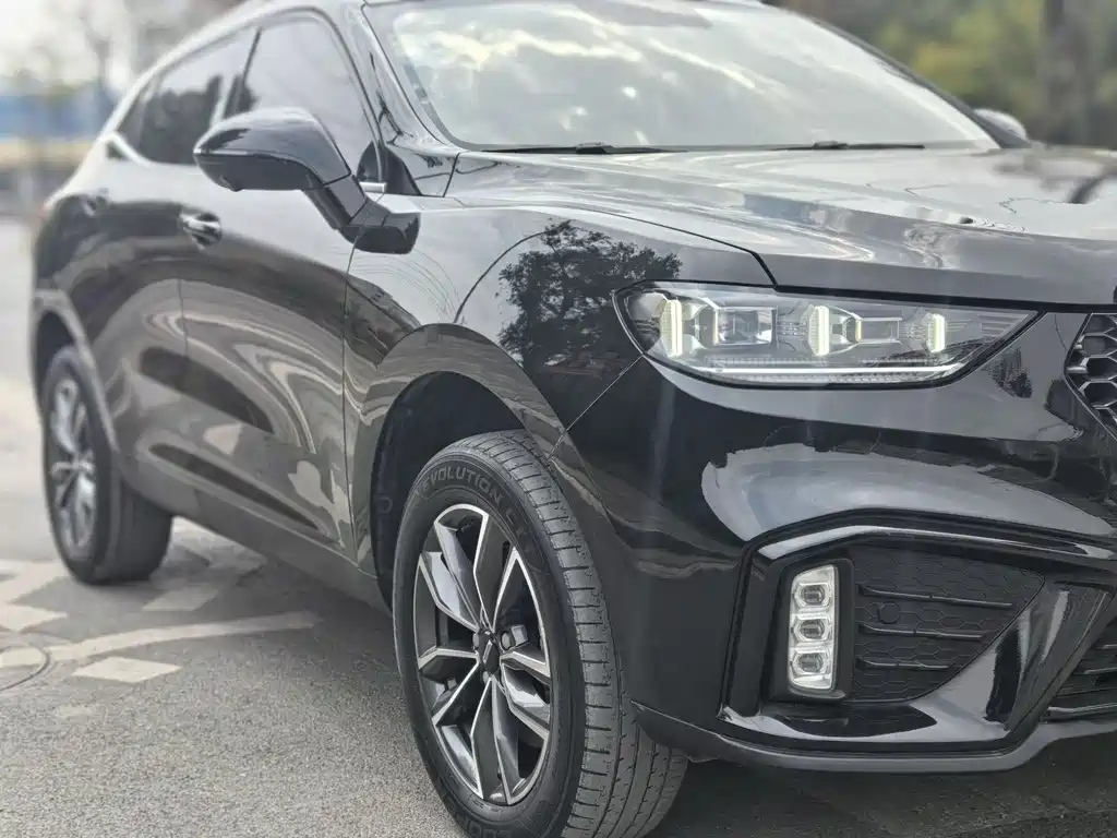 WEY VV5 2019