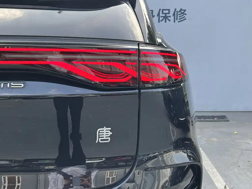 BYD TANG NEW ENERGY 2024