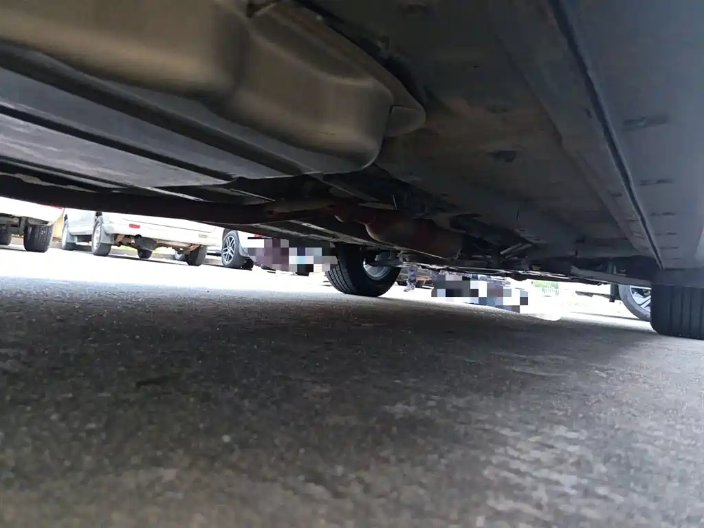 DONGFENG SCENERY 580 2020