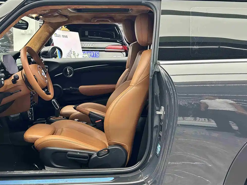 MINI OTHER 2021