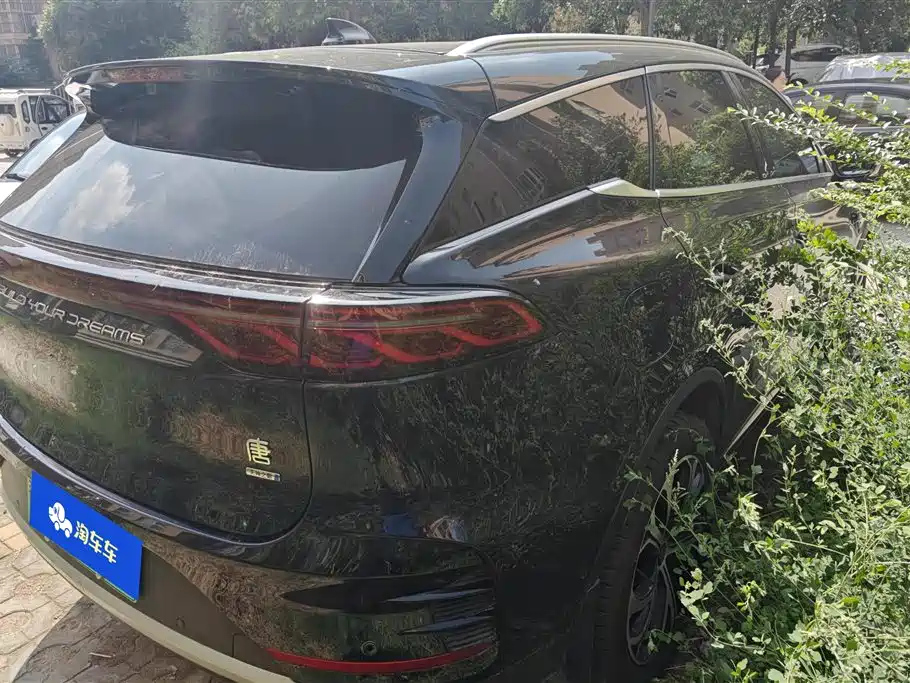 BYD TANG NEW ENERGY 2025