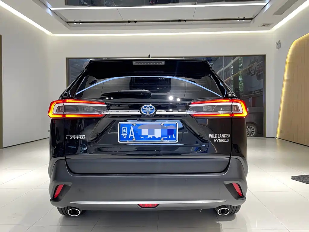 TOYOTA WILDLANDER 2020