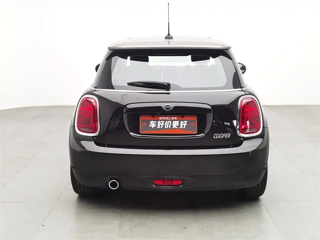 MINI OTHER 2021