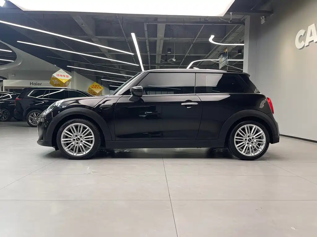 MINI OTHER 2021