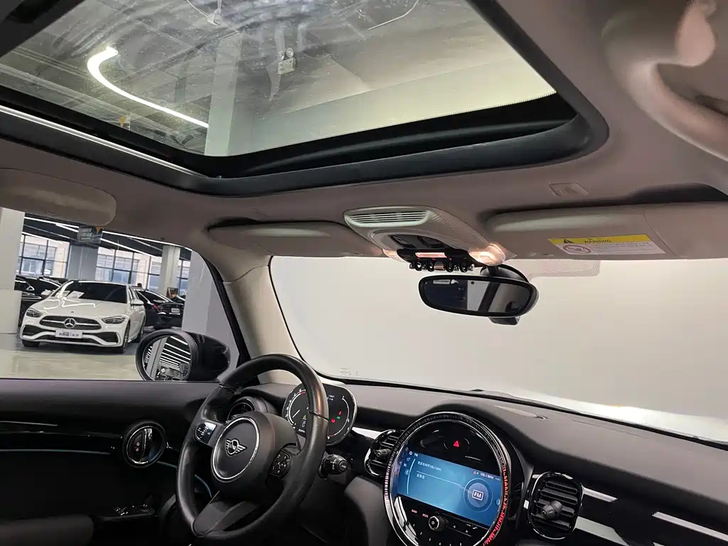 MINI OTHER 2021