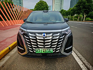Заказать DENZA D9