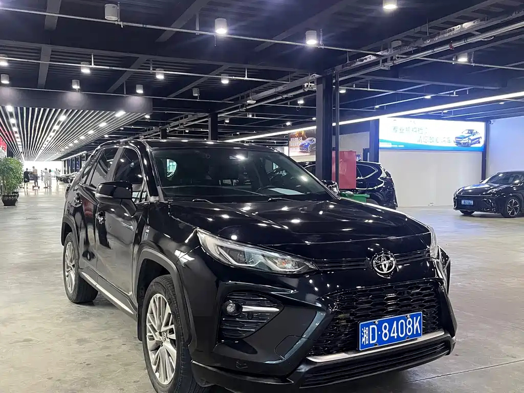 TOYOTA WILDLANDER 2020