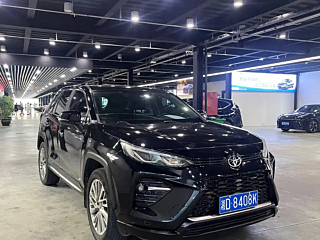 TOYOTA WILDLANDER 2020