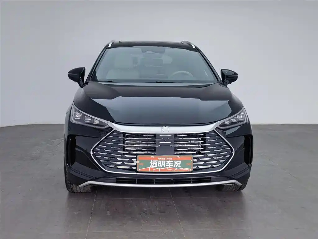 BYD TANG NEW ENERGY 2024