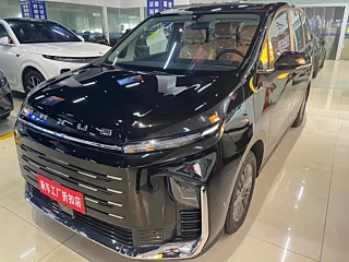 Заказать MAXUS OTHER