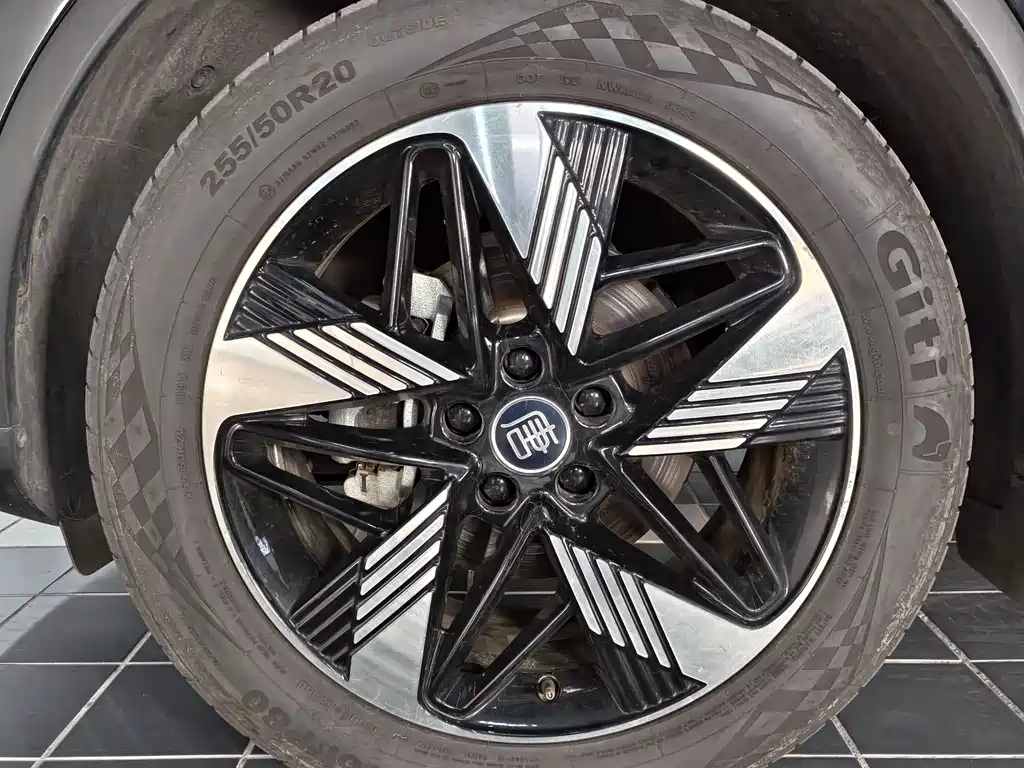 BYD TANG NEW ENERGY 2023