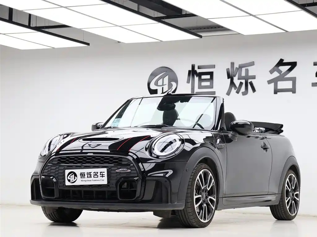 MINI OTHER 2022