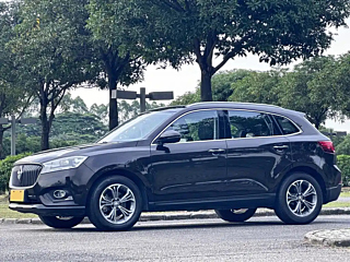 Заказать BORGWARD BX7