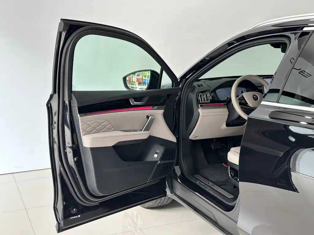 BYD TANG NEW ENERGY 2025