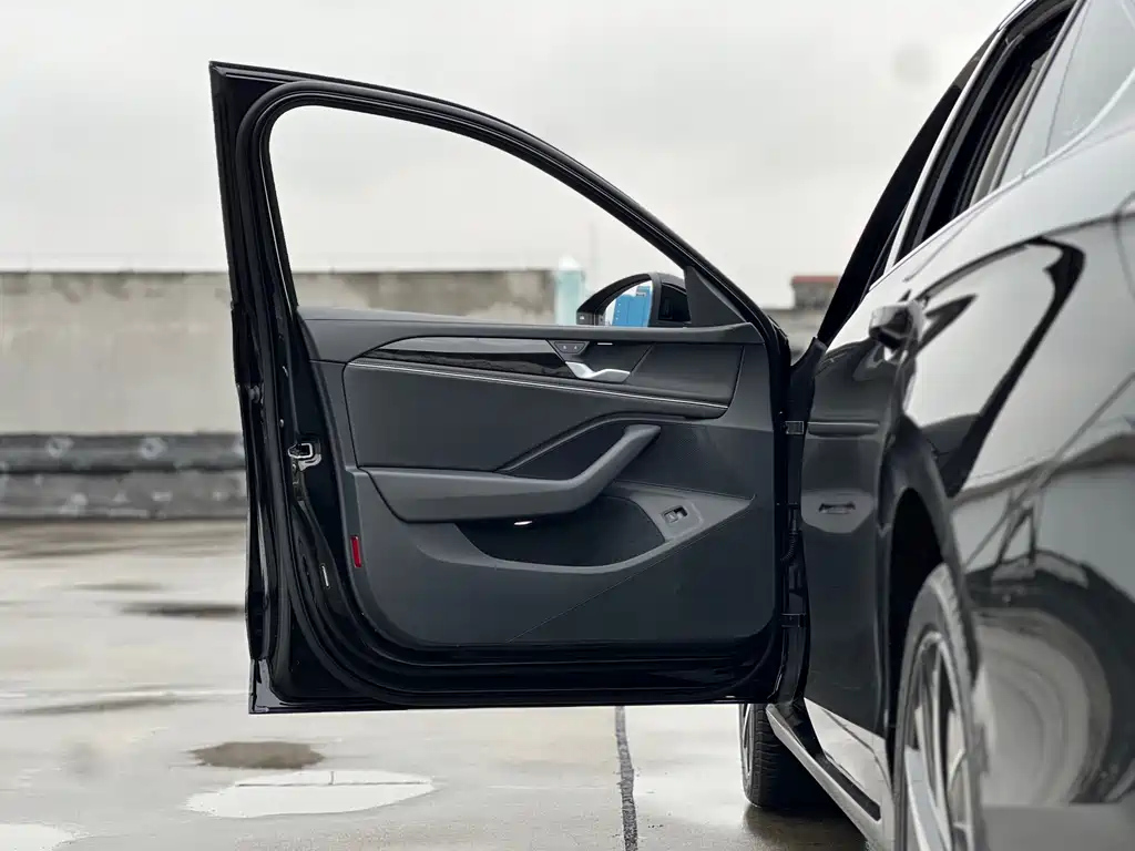 VOLKSWAGEN MAGOTAN 2025