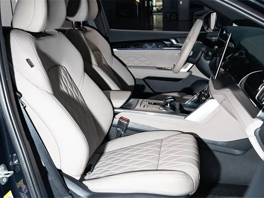 BYD TANG NEW ENERGY 2025