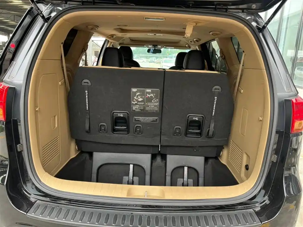 KIA CARNIVAL IMPORT 2017