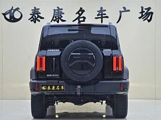 TANK 300 2024 YEAR 2.0T 2024