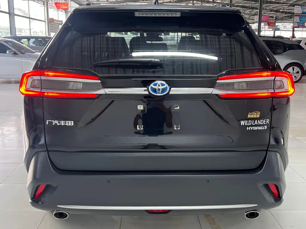 TOYOTA WILDLANDER 2023