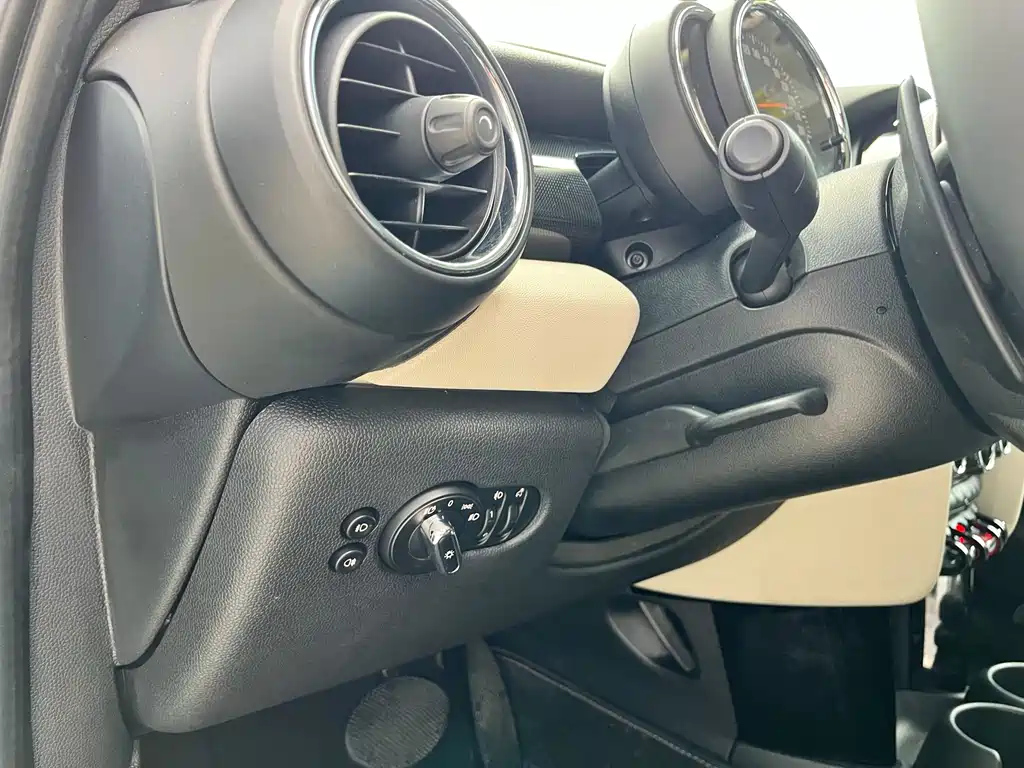 MINI OTHER 2020
