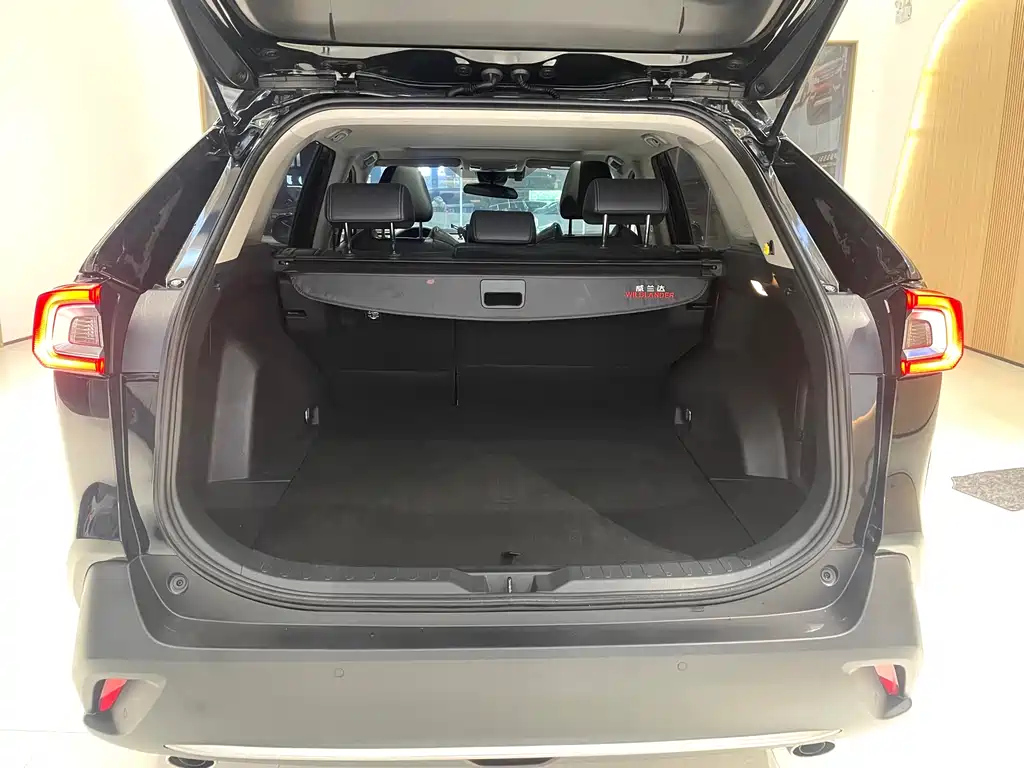 TOYOTA WILDLANDER 2020