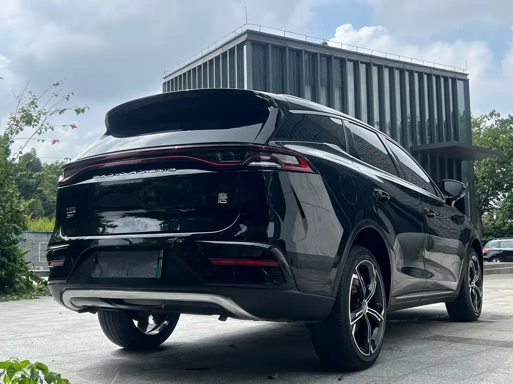 BYD TANG NEW ENERGY 2021