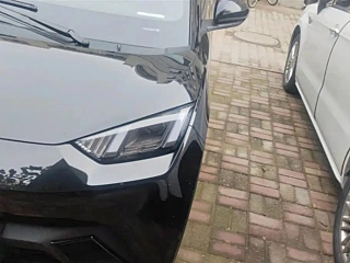 BYD SEAGULL 2025 YEAR 305KM VITALITY EDITION 2025