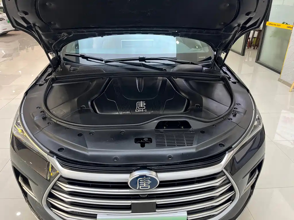 BYD TANG NEW ENERGY 2023