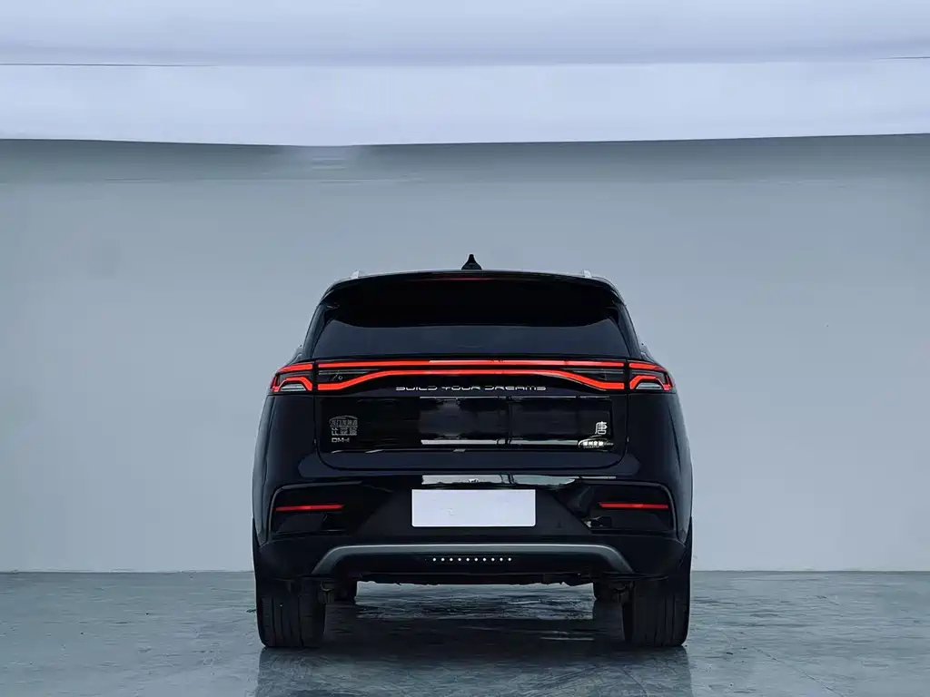 BYD TANG NEW ENERGY 2023
