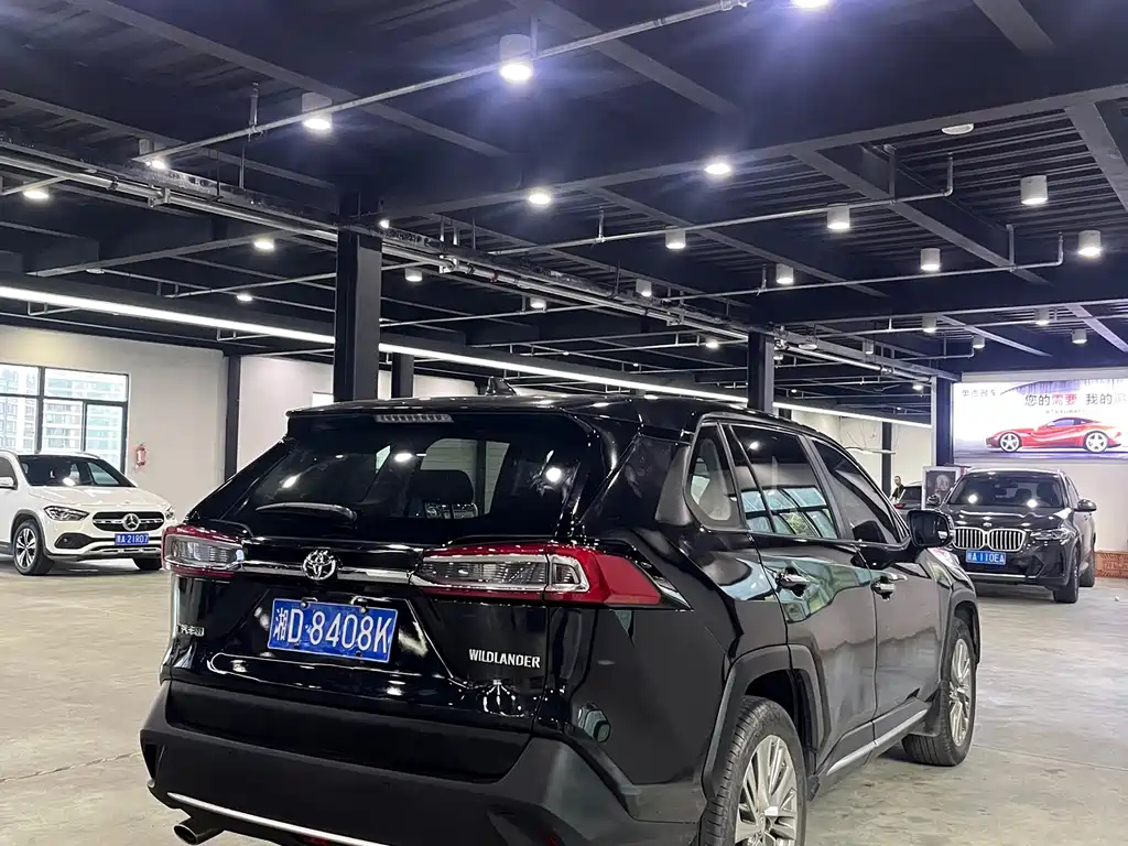 TOYOTA WILDLANDER 2020