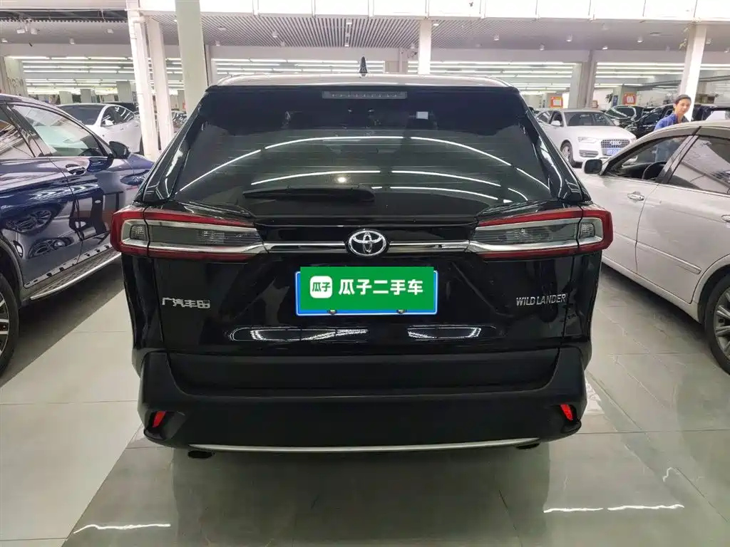 TOYOTA WILDLANDER 2022