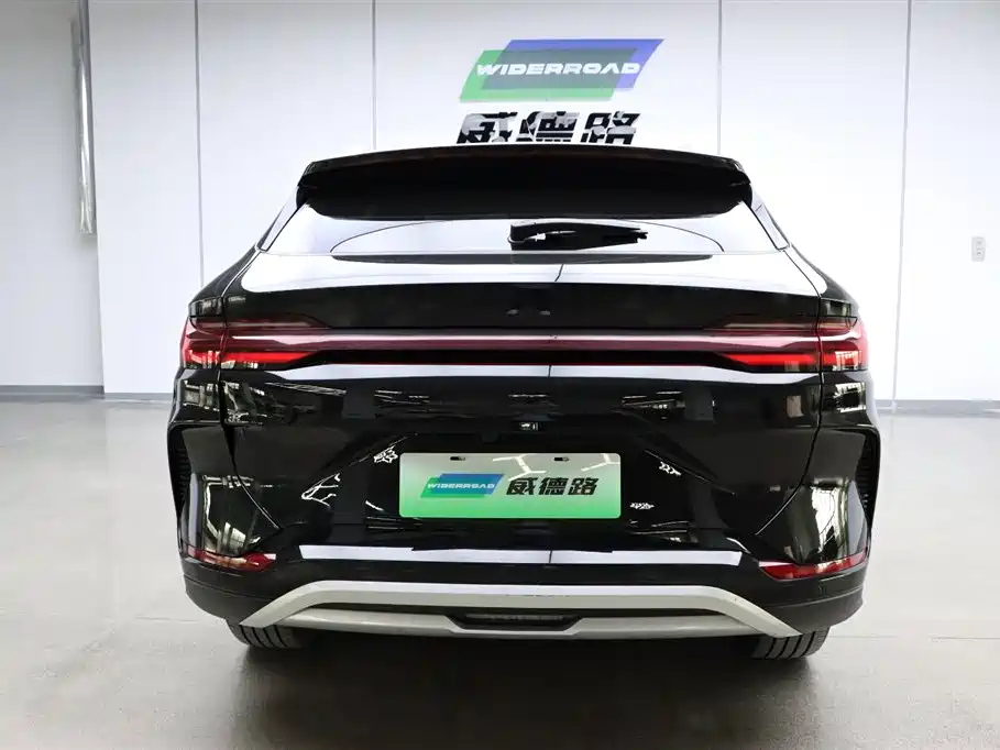 BYD SONG PLUS NEW ENERGY 2024