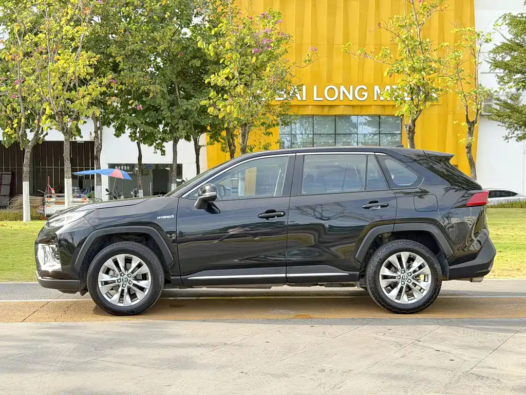 TOYOTA WILDLANDER 2020