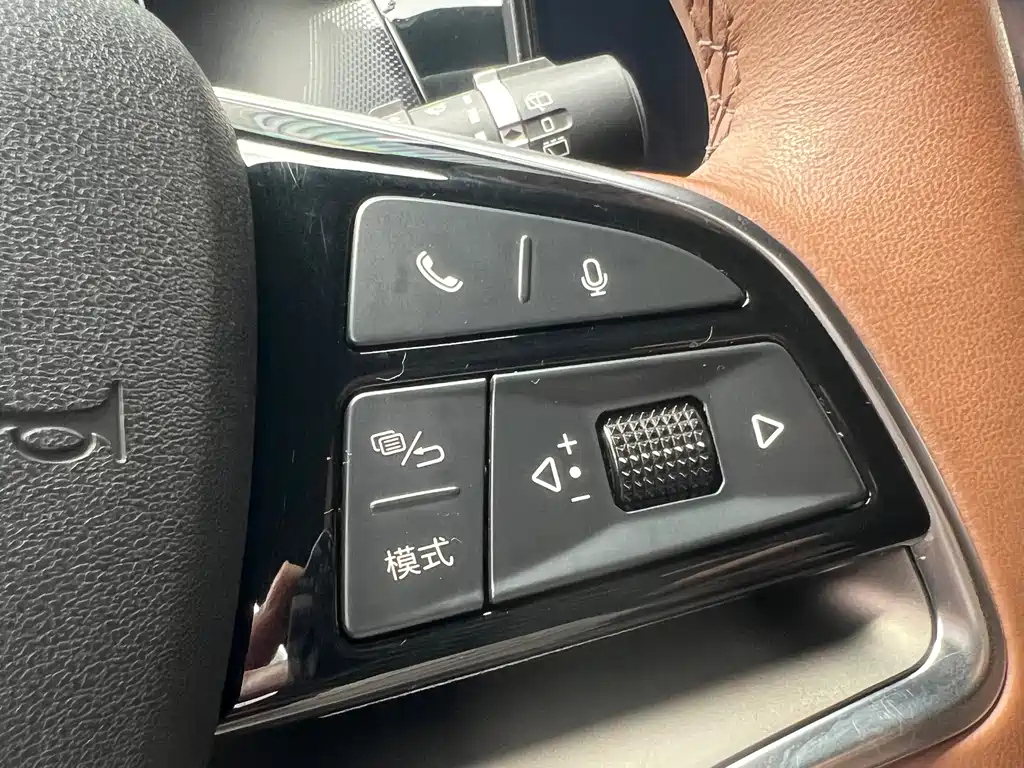 BYD TANG NEW ENERGY 2021