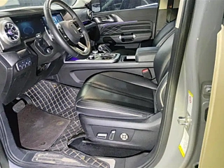 TANK 300 2021 YEAR EDITION 2.0T 2021