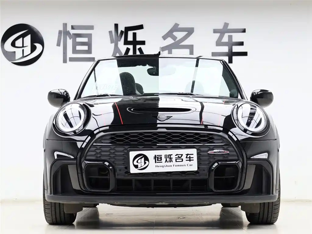 MINI OTHER 2022