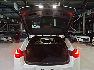 LEXUS UX NEW ENERGY  2020 YEAR 300E &#32431;.&#24742; EDITION 2020