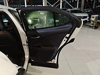 LEXUS UX NEW ENERGY  2020 YEAR 300E &#32431;.&#24742; EDITION 2020