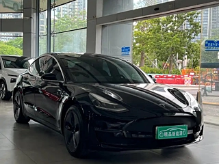 TESLA MODEL 3 IMPORT  2019 YEAR &#38271; RANGE &#21518;&#39537; EDITION 2019