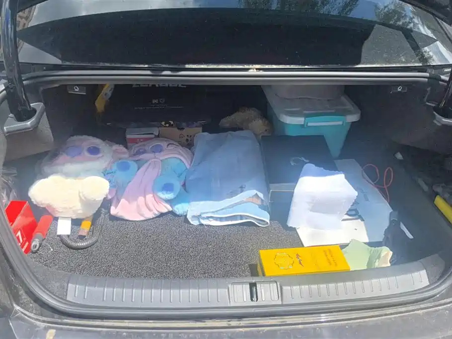 VOLKSWAGEN MAGOTAN 2018