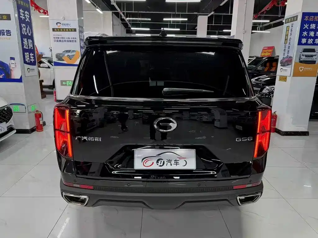 TRUMPCHI GS8 2024