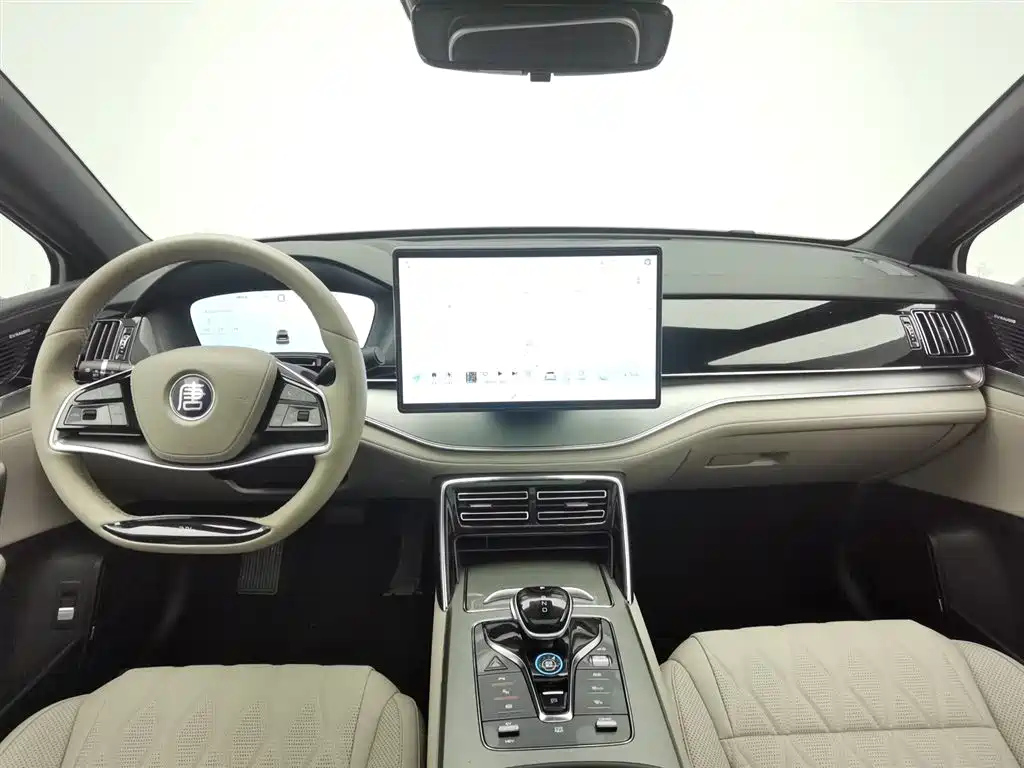 BYD TANG NEW ENERGY 2024