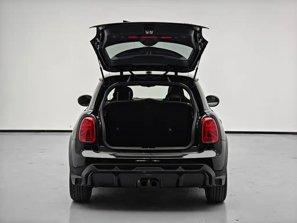 MINI OTHER 2022