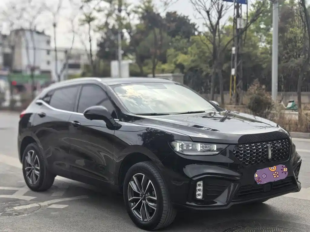 WEY VV5 2019
