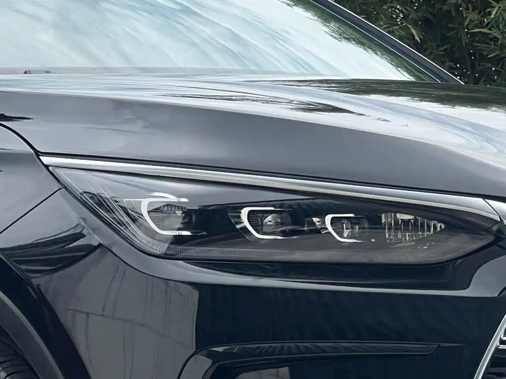 BYD TANG NEW ENERGY 2021