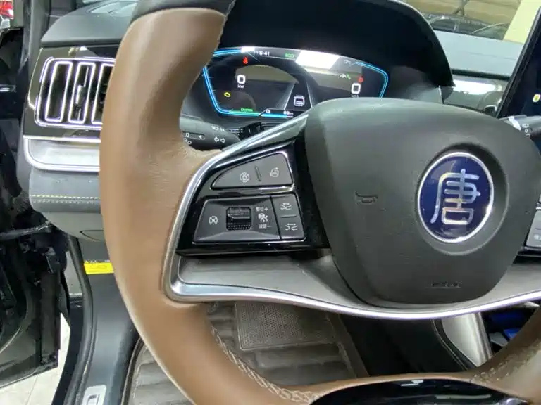 BYD TANG NEW ENERGY 2022