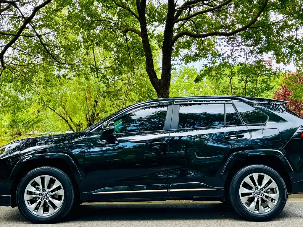 TOYOTA WILDLANDER 2024