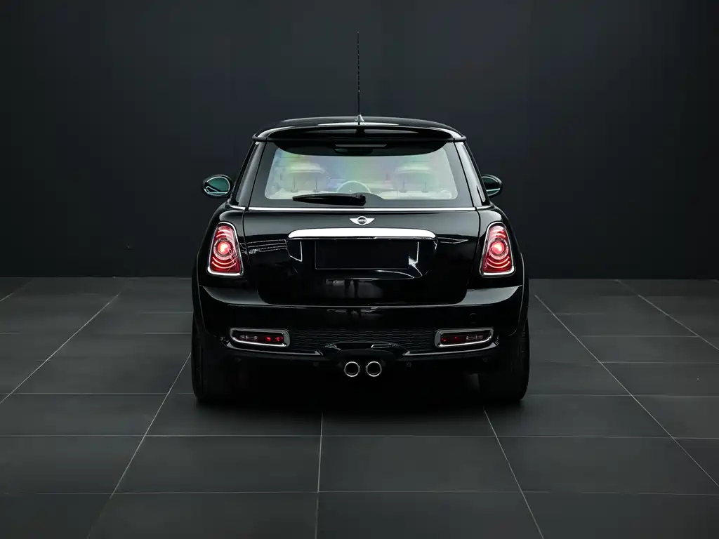 MINI OTHER 2012