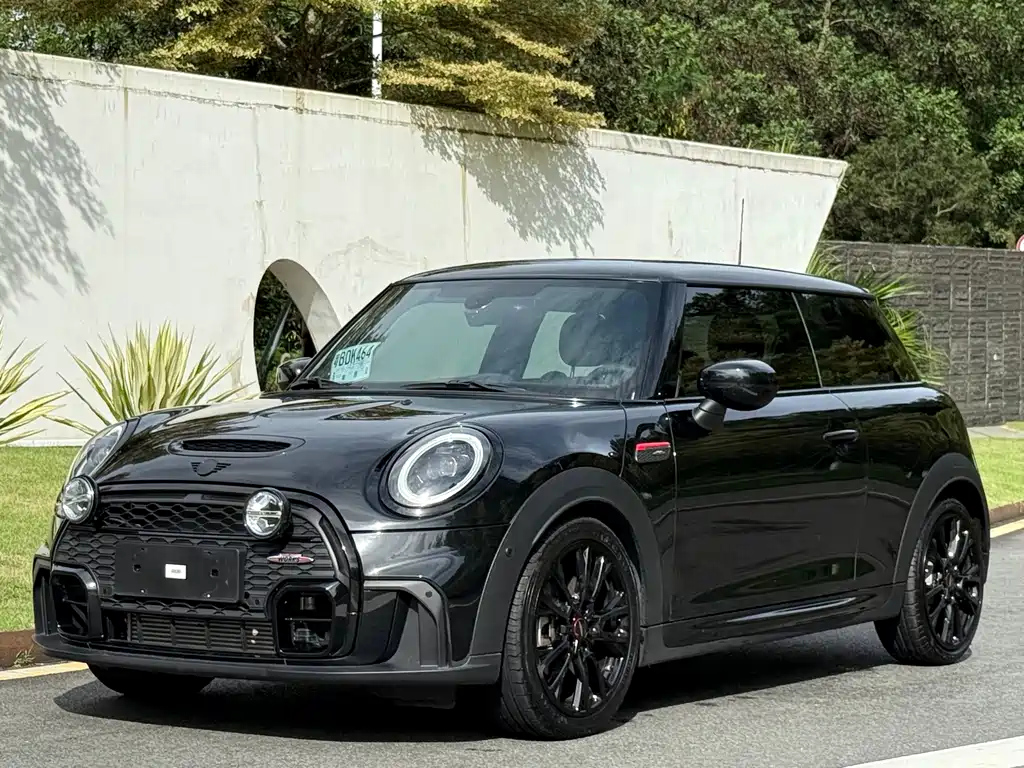 MINI OTHER 2023