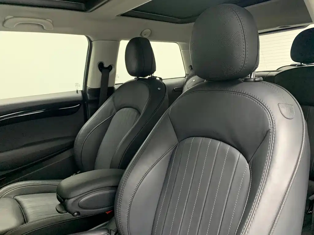 MINI OTHER 2020